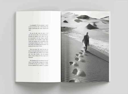 La hyène - nouvelles – Image 3